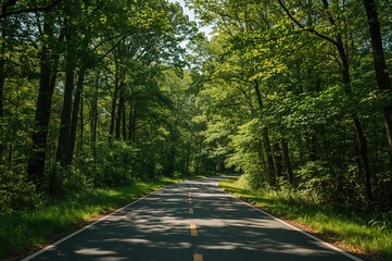 Fototapeta premium Forest pathway during summertime
