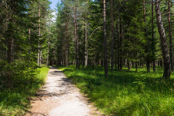 Hiking Cortina d'Ampezzo - Italy
