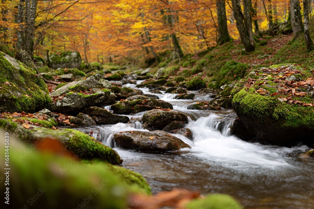 Poster Winding stream flows through autumn forest with vivid foliage Generative AI
