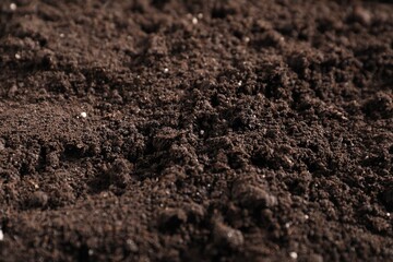 Fresh soil as background, closeup. Organic matter