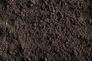 Fresh soil as background, top view. Organic matter