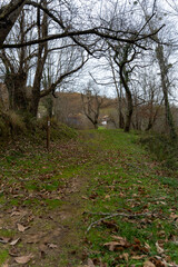 Hiking trail through forest in benia de on&iacute;s, asturias, spain, leading to rural house