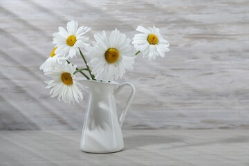 Beautiful chamomile flowers in vase on grey wooden table, closeup