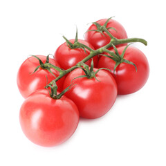 Many ripe red tomatoes isolated on white