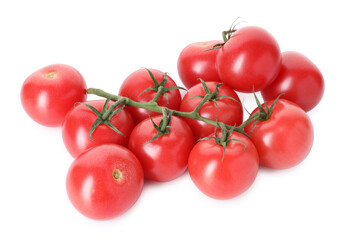 Branch with ripe red tomatoes isolated on white