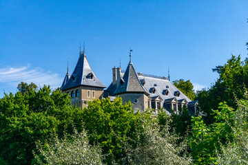 Obraz premium Historic Gołuchów Castle, roof and towers emerging from greenery, historic residence surrounded by a landscape park.
