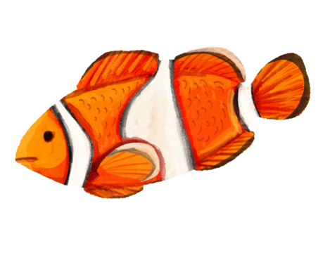 tropical fish isolated on black - Powered by Adobe