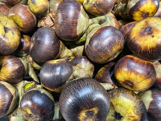 Close-Up View of Fresh Brown Chestnuts Piled Together in a Natural Setting