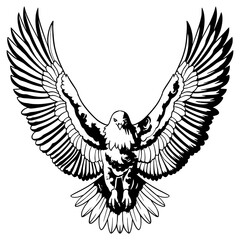eagle with wings Illustration Art