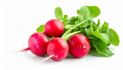 Fresh red radish with leafy green top round root shape smooth skin crisp texture organic vegetable isolated on white background
