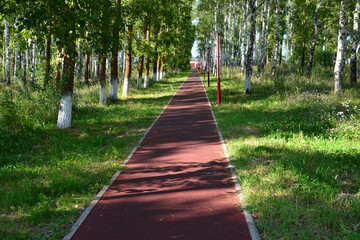 Pathway through a Lush Park Lined with Trees