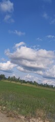 landscape with blue sky and clouds