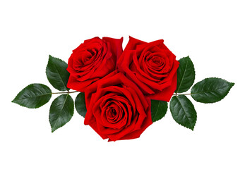Bouquet of dark red rose flowers with green leaves on a white background.