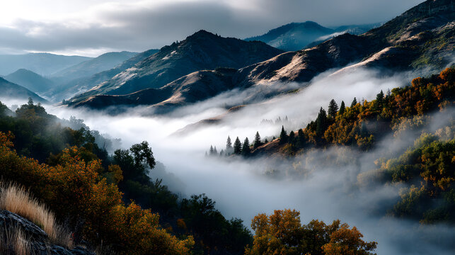 An autumn landscape with golden trees scattered acros a mountain range, covere by a light morning fog, ceating a dreamy atmosphere