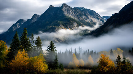 An autumn morning where golden trees are partially cvered by mist, with a mounain backdrop and soft sunlght breaking through the fg.