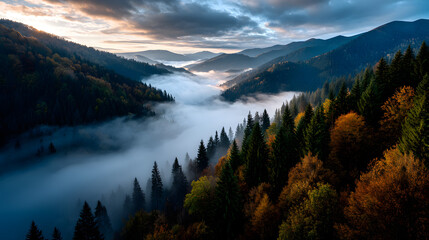 An autumn morning with golden forests shrouded in fo, casting a peaceful and srene atmosphere over the muntain terrain.