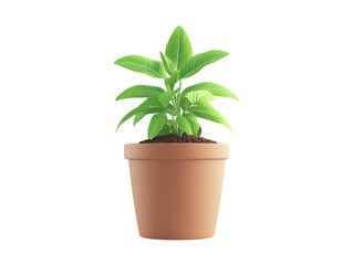  plant in a flowerpot 