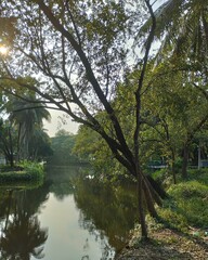 Serene River Scene with Trees and Reflections water Bangladesh