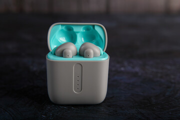 Wireless Headphones Technology Device (Bluetooth Earbuds in Charging Case)