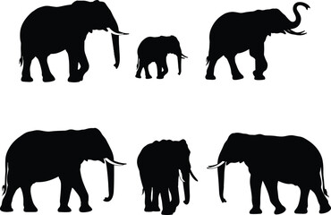 Vector silhouettes of adult and baby elephants in various poses walking, standing, and raising trunk, wildlife, nature, safari, African animals