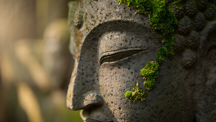 A close-up, side-profile view of an ancient, weathered stone Buddha head with a serene expression, touched by soft, gentle sunlight.