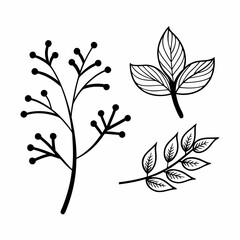 Eco Branches and Leaves Outline Icon Bundle