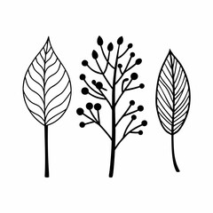 Eco Branches and Leaves Outline Icon Bundle