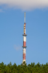 Obraz premium A red-and-white telecommunications tower rises above green pine trees under a clear blue sky.