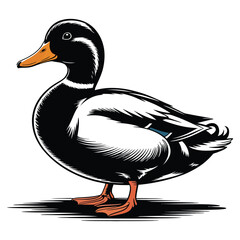 illustration of a duck