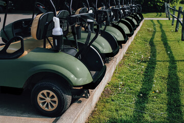 a row of two-seater golf carts parked in front of a wood fence and lush green on a beautiful day....