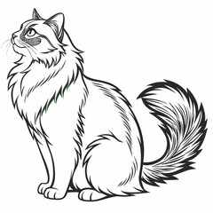 Vector art of a detailed line art illustration of a fluffy cat with long fur and a bushy tail, sitting elegantly and looking upwards, isolated on white background