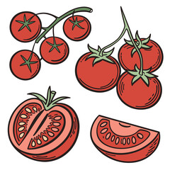 Vector art of a collection of ripe red tomatoes, including whole tomatoes on the vine, a halved tomato showing its seeds and pulp, and a single slice of tomato, all isolated on white background