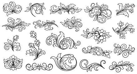 Vector art of assortment of delicate black and white botanical and swirling decorative motifs