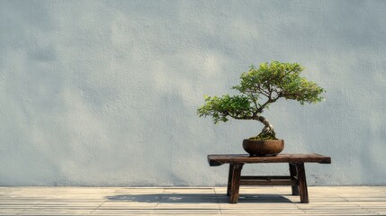 Bonsai tree on wooden table against a textured wall