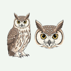 Owl Illustration Fullbody and Face