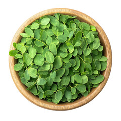 Fresh green oregano leaves in a wooden bowl isolated on transparent background