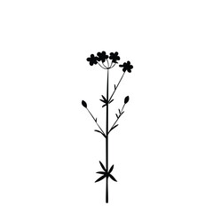 Black silhouette of a flowering plant with leaves and buds white