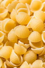 Dry Organic Macaroni Pasta Shells