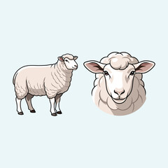 Sheep Illustration Fullbody and Head