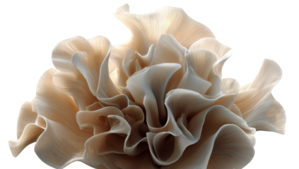 Soft, flowing, light beige organic forms