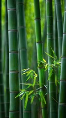 Fototapeta premium Neo-Bamboo A Bio-Luminescent Future (1)