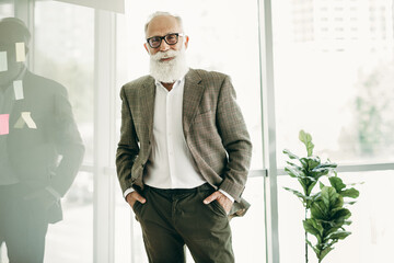Confident mature businessman with white beard in formal attire posing in modern office environment during work