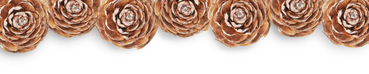 Border of pine cones