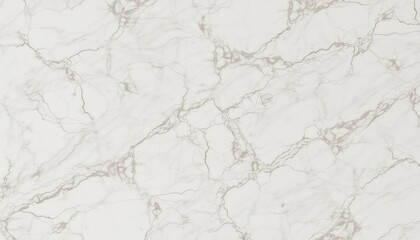 Obraz premium Elegant white surface texture with subtle intricate veining pattern creates a luxurious look and feel