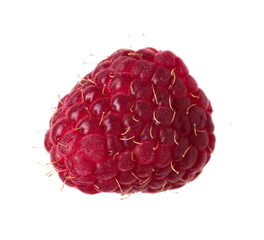 One fresh ripe raspberry isolated on white