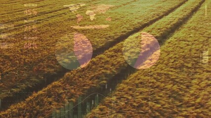 Animation of financial data processing over agriculture field - Powered by Adobe
