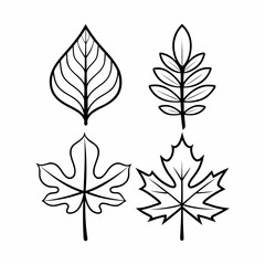Clean Line Art Maple and Oak Leaf Icons