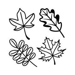 Clean Line Art Maple and Oak Leaf Icons