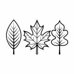 Clean Line Art Maple and Oak Leaf Icons