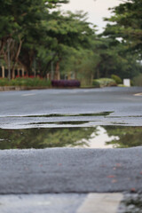 Reflection of Green Trees on Asphalt Road Puddle